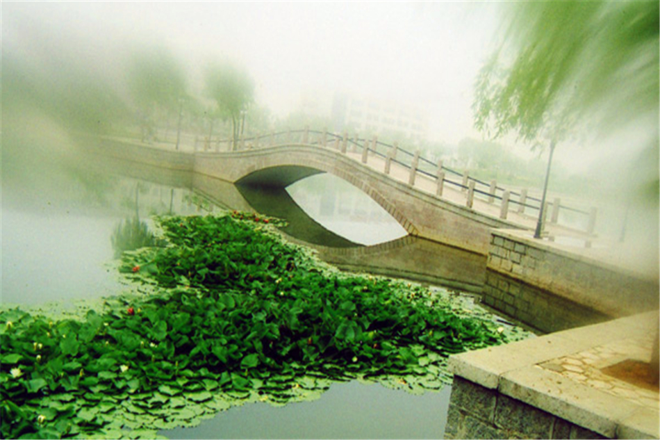 煙臺大學