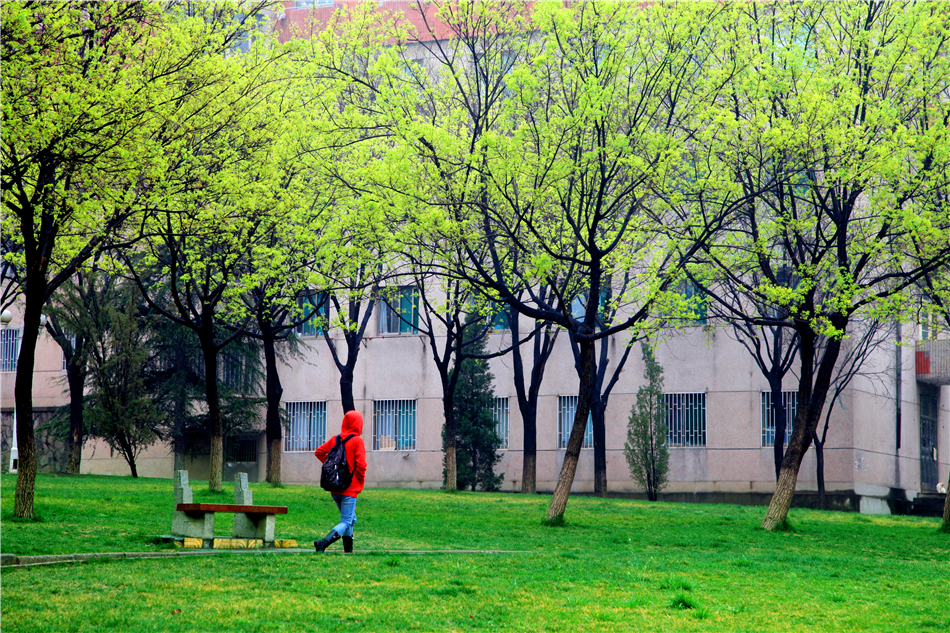 山东财经大学