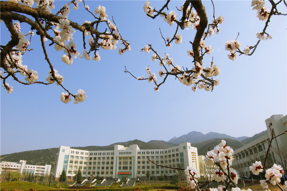 泰山学院