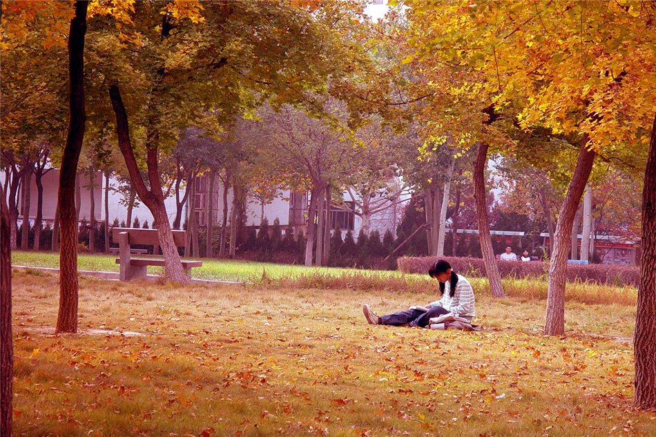 山东财经大学