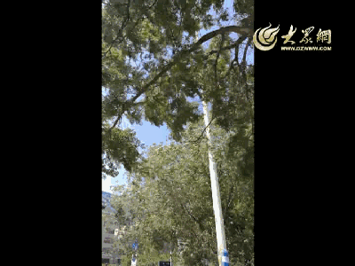 濟南昨日的大風模式