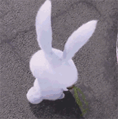 (齐鲁壹点出品 校长/文)