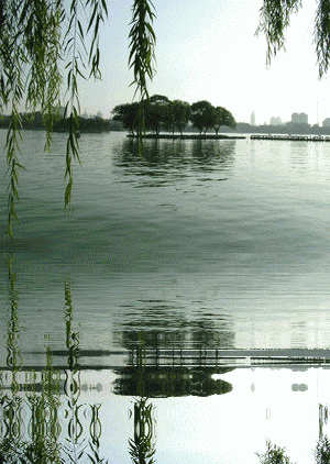 纯以泉水为源，且在都市之中的自然湖泊，全国仅有大明湖一个。