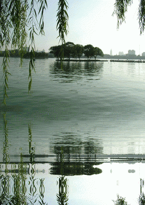 纯以泉水为源,且在都市之中的自然湖泊,全国仅有大明湖一个。