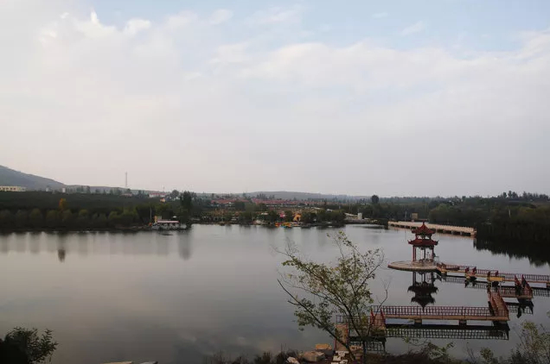 莒县桑园镇芦家河村