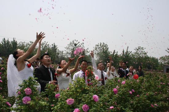 平阴玫瑰旅游节活动:玫瑰婚典