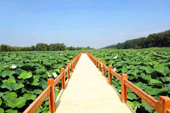 临朐县妇联组织开展骈邑姐妹 助力乡村振兴赴