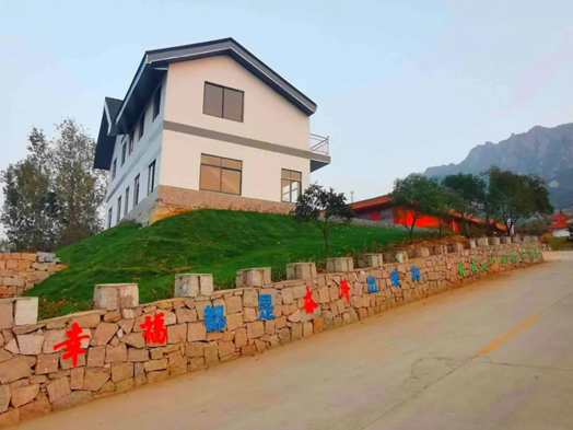 岚山区中楼镇辛家庄村