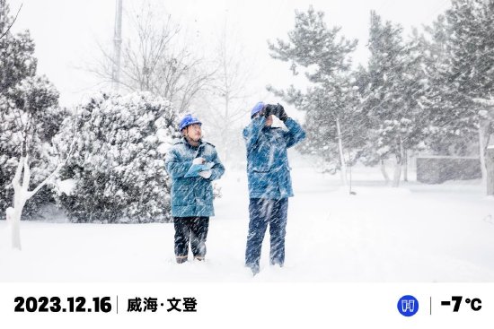 ▲国网威海市文登区供电公司组织员工冒雪巡检110千伏文秀线,做好随时开展应急抢修工作的准备。