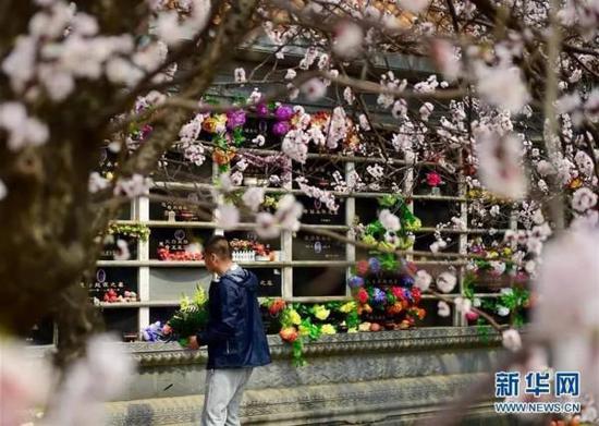 新華網(wǎng) 圖 新華網(wǎng) 圖