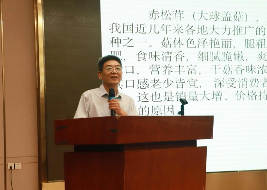 崔长玲