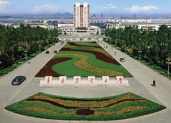 动物医学专业大排名_“冷门”专业焕发青春动物医学人才热销大城市(2)