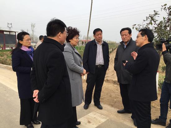 參會人員參觀單縣植樹造林現場