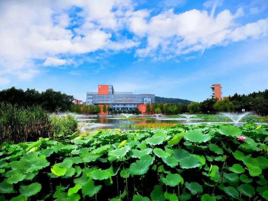 久等了 山东城市建设职业学院2019单招终于来