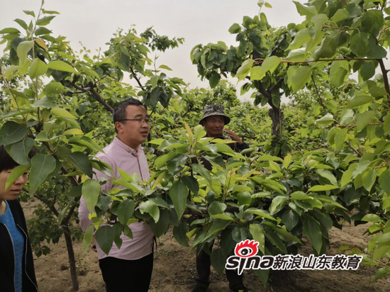 专家指导果树种植