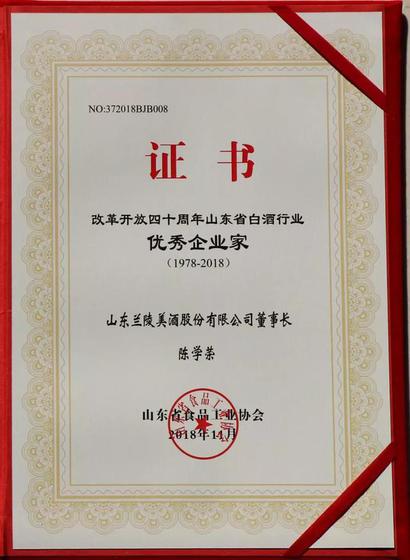 优秀企业家获奖证书