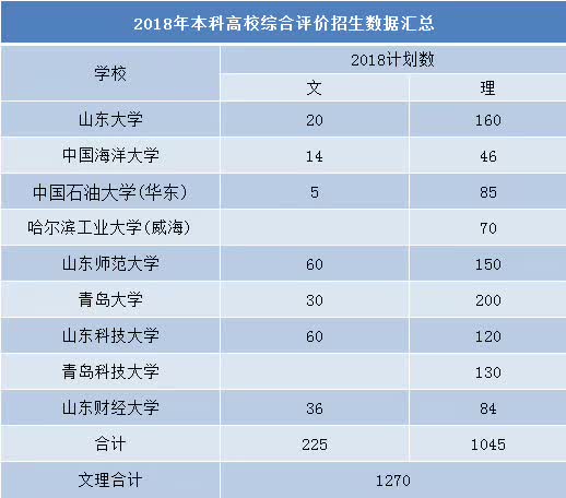 总计划