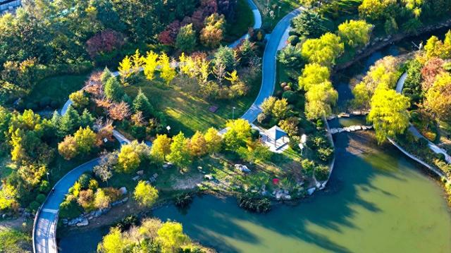 青岛：王河湿地碧水彩林如天然调色盘