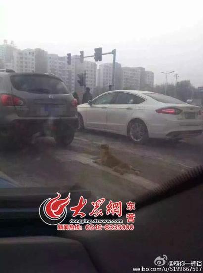 照片由網友提供