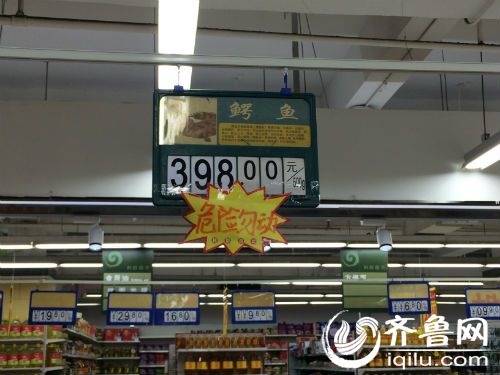 鱷魚售價每斤398元