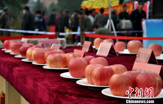 比賽評出“果王”等獎項。　王強　攝