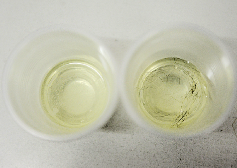 左侧：动物绒毛在84消毒液中溶解
右侧：化纤人造毛没有被溶解