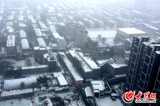 24日上午10時，濟(jì)南的初雪越下越大，建筑物頂部的積雪已接近3厘米厚。