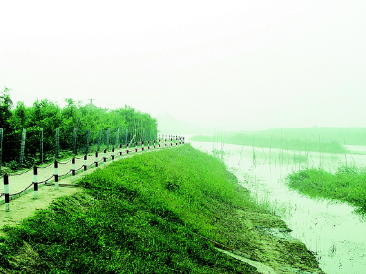 秦口河流经惠民地区,汇入徒骇河后流入渤海