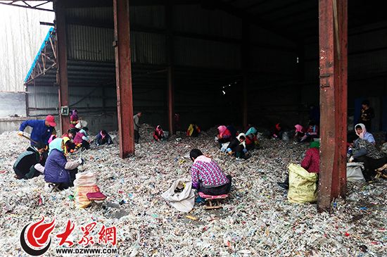 博汇纸业每日可回收生产2吨再生塑料颗粒,塑料、金属等杂物先由机器分拣后,再由人工分拣。