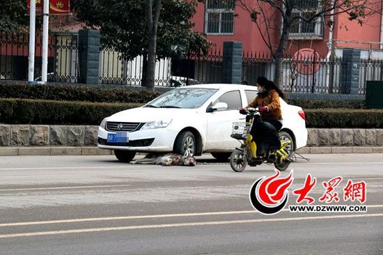 市民經過都會查看一下
