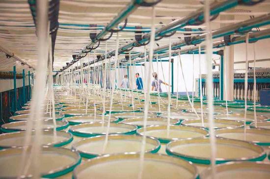 张士平从纺织业起家，从一家籍籍无名的小型油棉厂成长为世界最大的纺织企业。这些24 小时轰鸣作响的纺织机创造了该公司从未有过的辉煌。