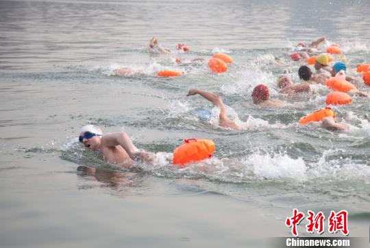 在大明湖風(fēng)景區(qū)歷下亭起點(diǎn)處,比賽開(kāi)始后,選手紛紛跳水,競(jìng)速游向北岸。