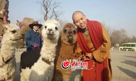延参法师和羊驼合影,谁更萌?