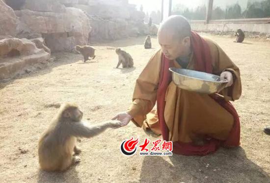 喂猴子