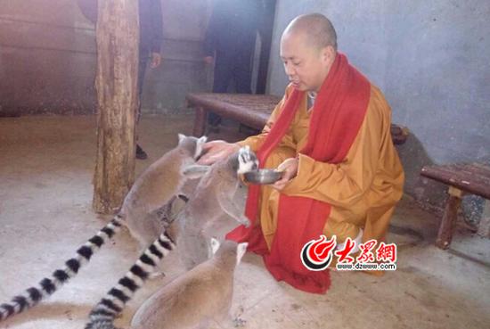 看到吃的,小动物们一拥而上