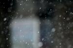 济南迎来猴年首场降雪 一波冷空气今日起“驾临”