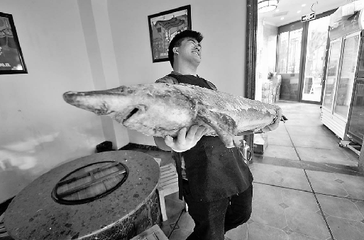 16日，济南一饭店内的野生鳇鱼，长1.3米左右、重约80斤。 记者高歌 摄