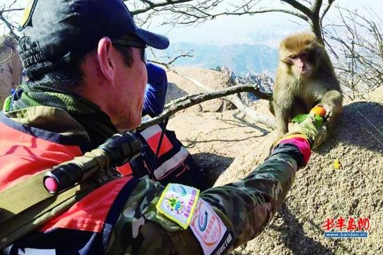 猕猴毫不认生,从市民手中接过水果