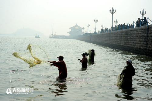 市民在栈桥撒网捕梭鱼，引来游客围观