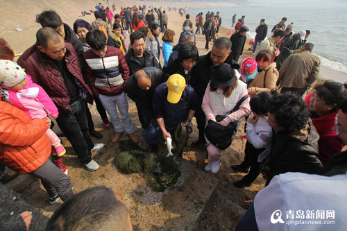 市民購買剛剛上岸的梭魚