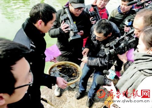 大明湖景区内每天都要捞上上百斤死鱼。　景区供图