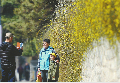 9日,受寒潮影響,泉城最低氣溫降至-1℃。降溫并沒有阻擋春天的腳步,護城河畔迎春花開,市民在寒風中感受春意。 記者王鋒 攝