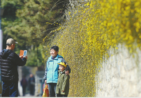 9日，受寒潮影响，泉城最低气温降至-1℃。降温并没有阻挡春天的脚步，护城河畔迎春花开，市民在寒风中感受春意。 记者王锋 摄