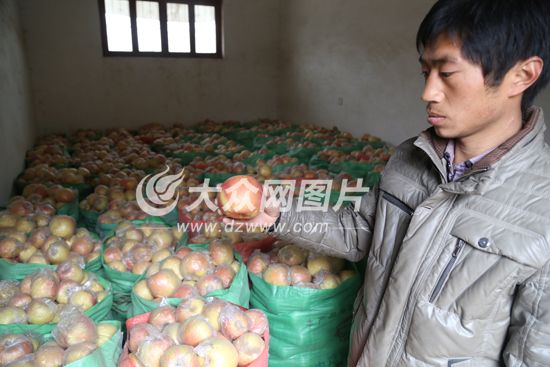 几乎家家堆了满满一屋子的苹果。大众网记者 王传胜 摄