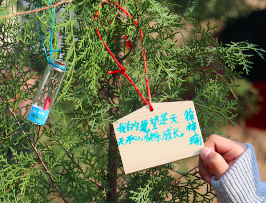 挂在树上的许愿卡，让自己的心愿与小树苗一起成长。