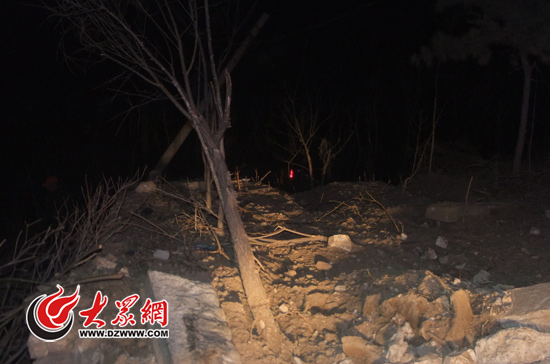路邊的一片護(hù)坡林被夷為平地,防洪墻也被撞開