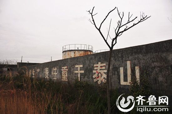 日前,山海天旅游度假區一處僵尸企業安全隱患被妥善處理。