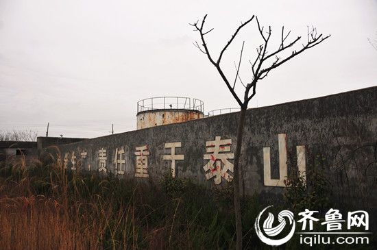 日前，山海天旅游度假区一处僵尸企业安全隐患被妥善处理。