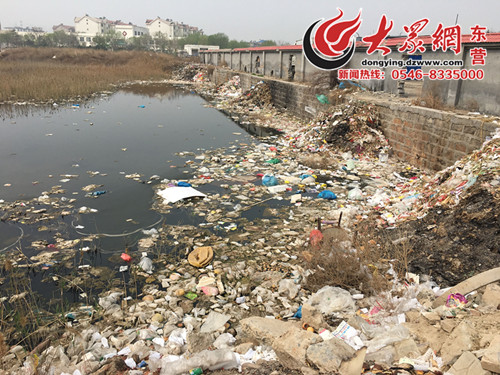 沿岸就是菜市場(chǎng)