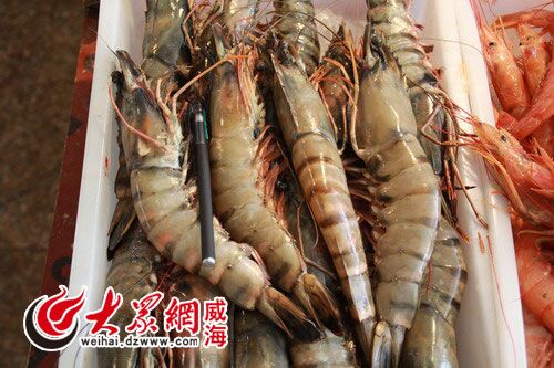 價格相對較高的大對蝦